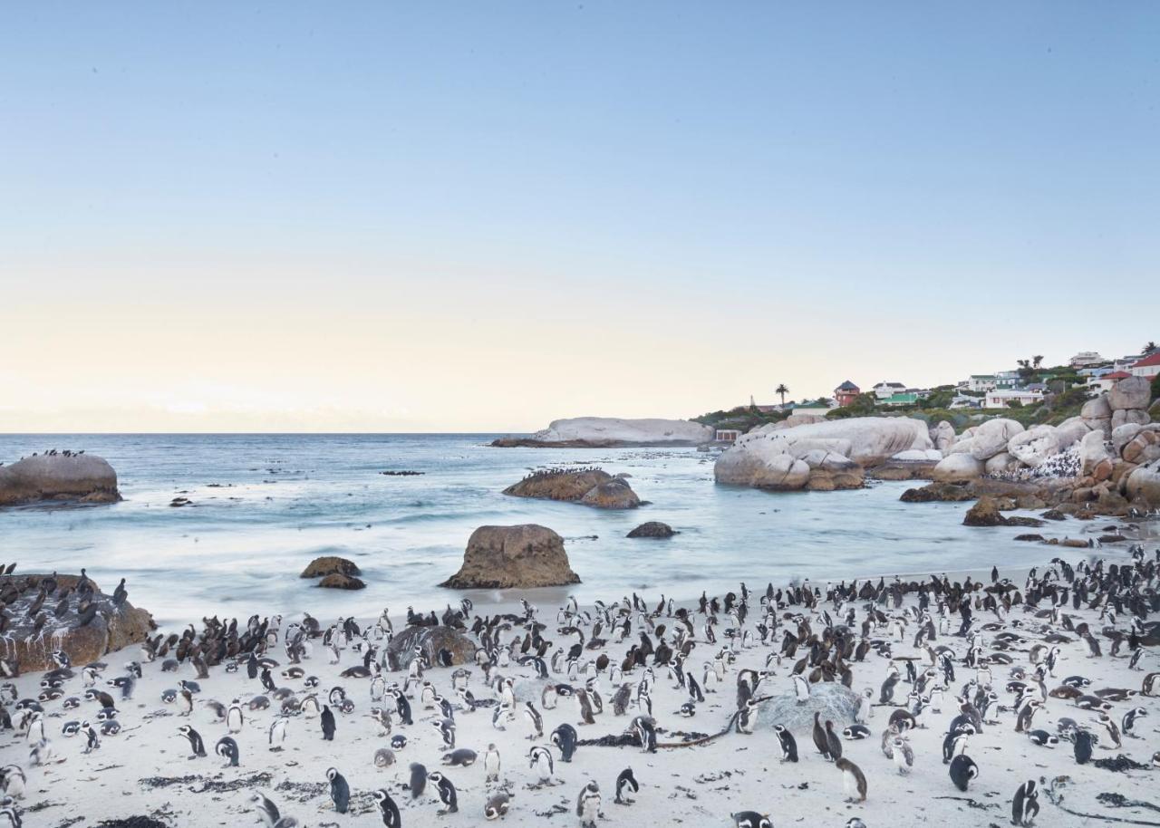 Port Of Call Simon's Town Bagian luar foto
